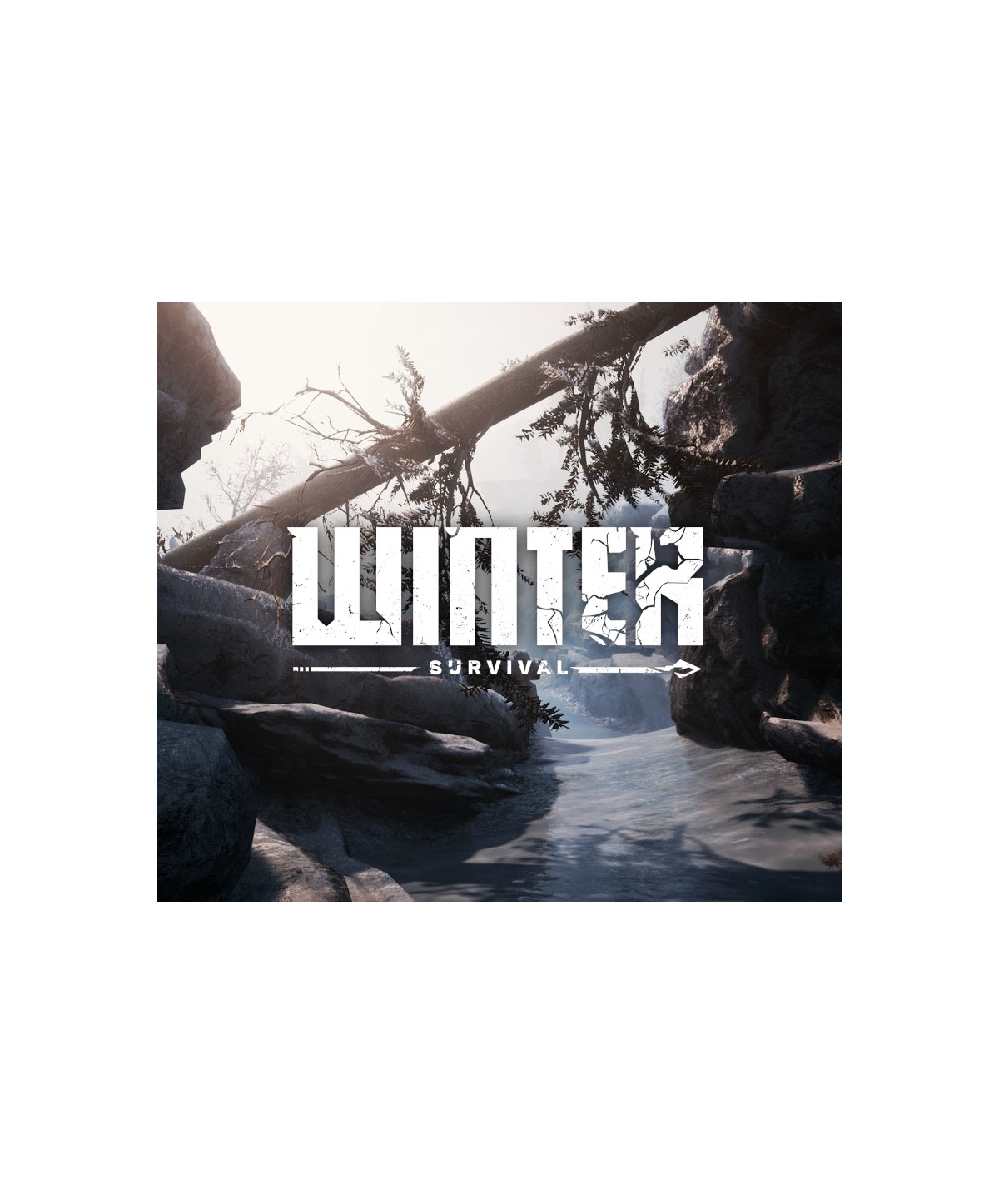 Winter Survival Steam Key EUROPE
